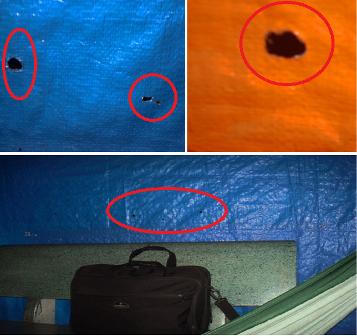 Thâm nhập chốn “bướm đêm” chiều khách “lên bờ xuống ruộng” 